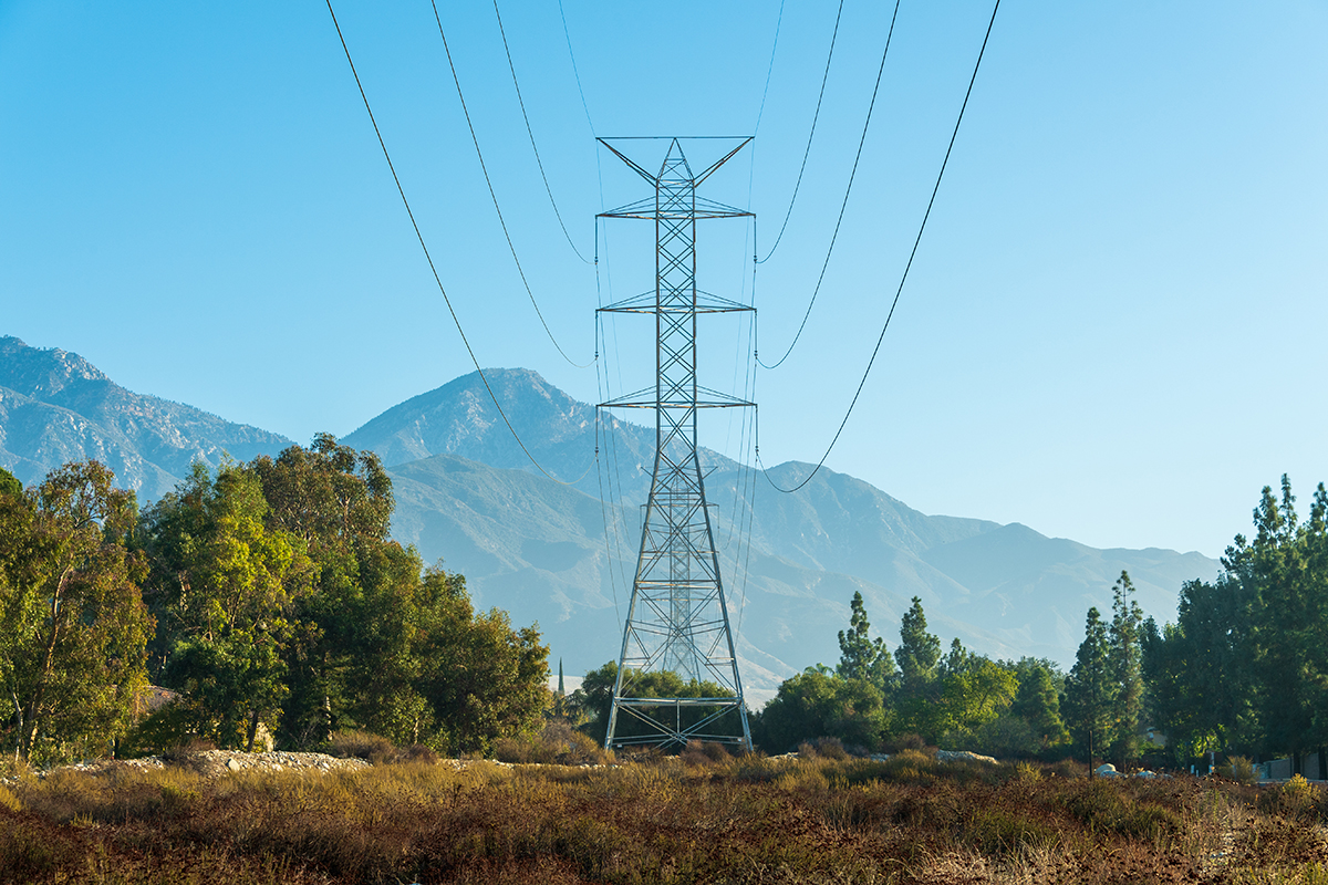 Utility power lines surrounded by trees image